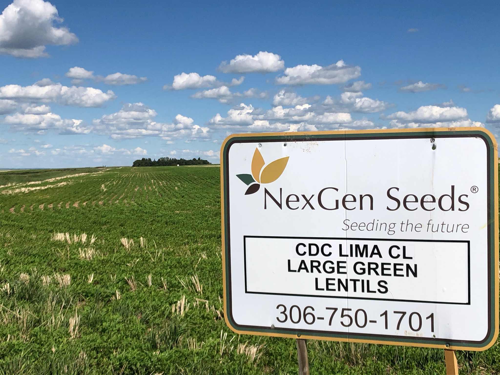 NexGen_CDCLimaCL